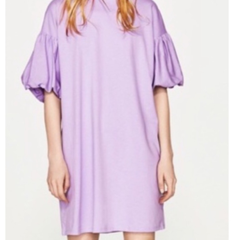 ZARA Trafaluc Ruffled Sleeve Dress